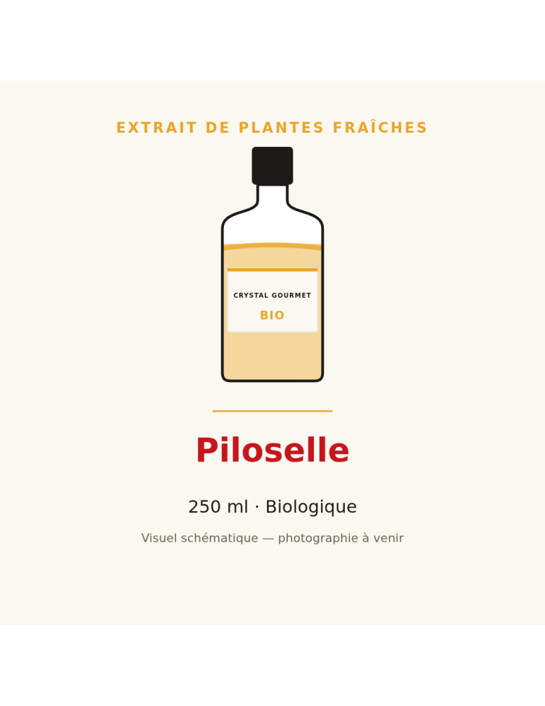 Extrait de plantes fraîches de Piloselle bio - 250 ml