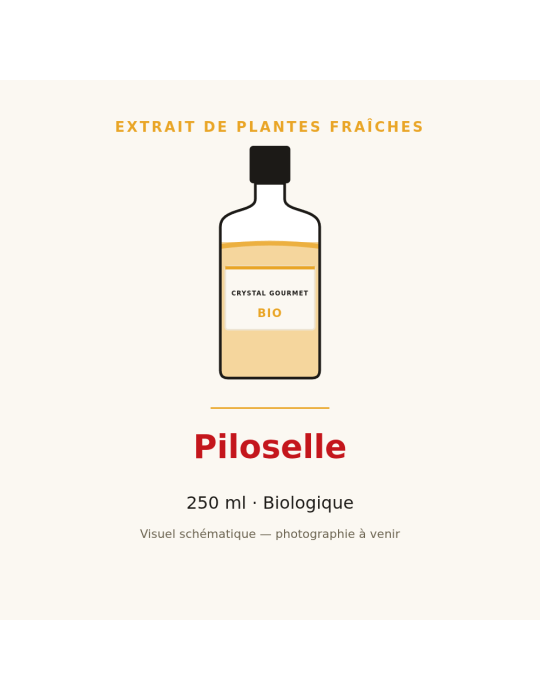 Extrait de plantes fraîches de Piloselle bio - 250 ml