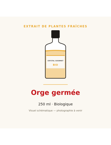 Extrait de plantes fraîches d'Orge germée bio - 250 ml
