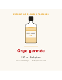 Extrait de plantes fraîches d'Orge germée bio - 250 ml