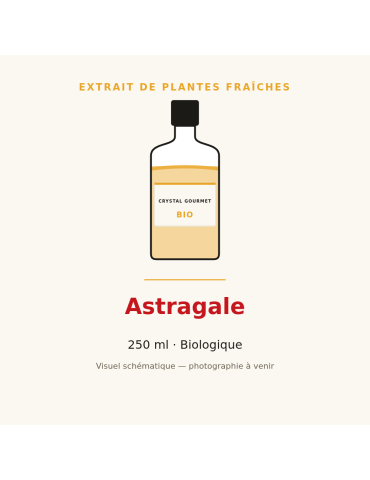 Extrait de plantes fraîches d'Astragale bio - 250 ml