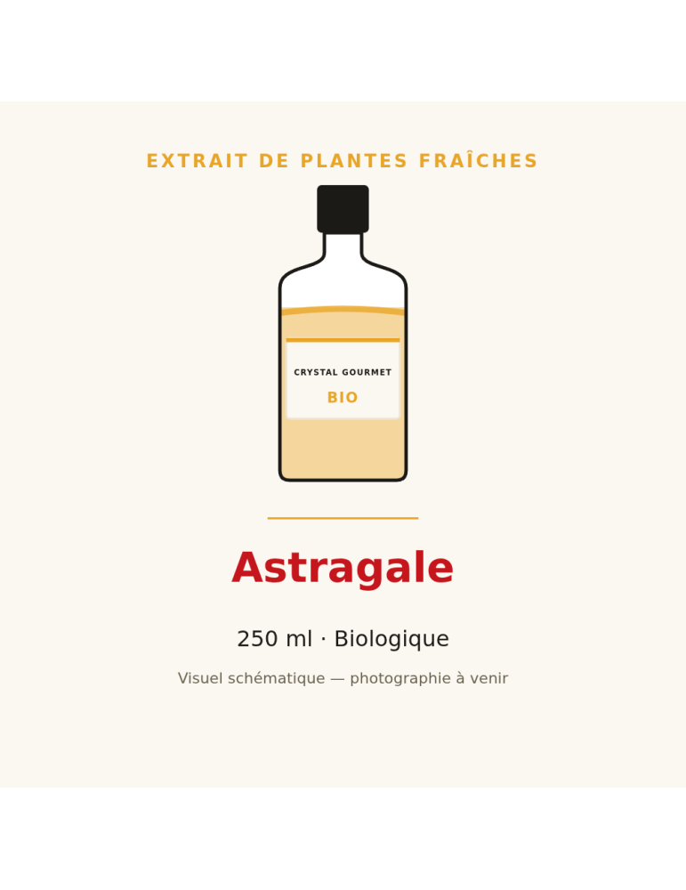 Extrait de plantes fraîches d'Astragale bio - 250 ml