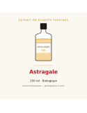 Extrait de plantes fraîches d'Astragale bio - 250 ml