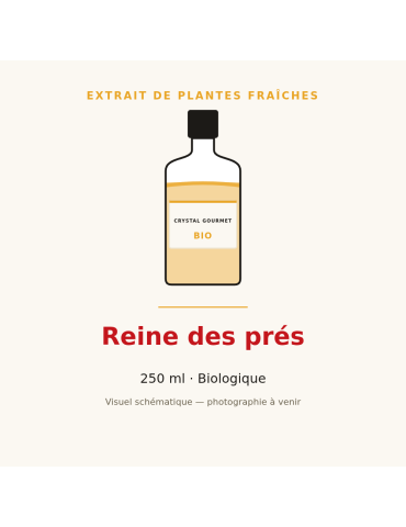 Extrait de plantes fraîches de Reine des prés bio - 250 ml