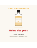 Extrait de plantes fraîches de Reine des prés bio - 250 ml