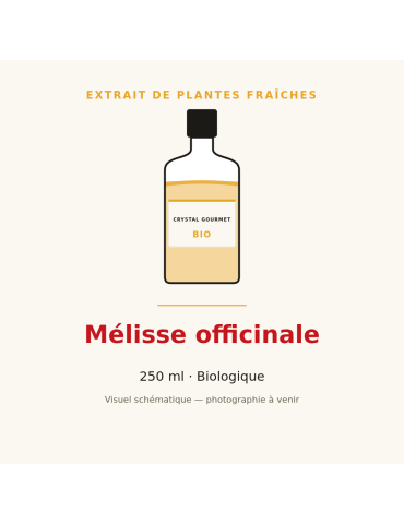 Extrait de plantes fraîches de Mélisse officinale bio - 250 ml