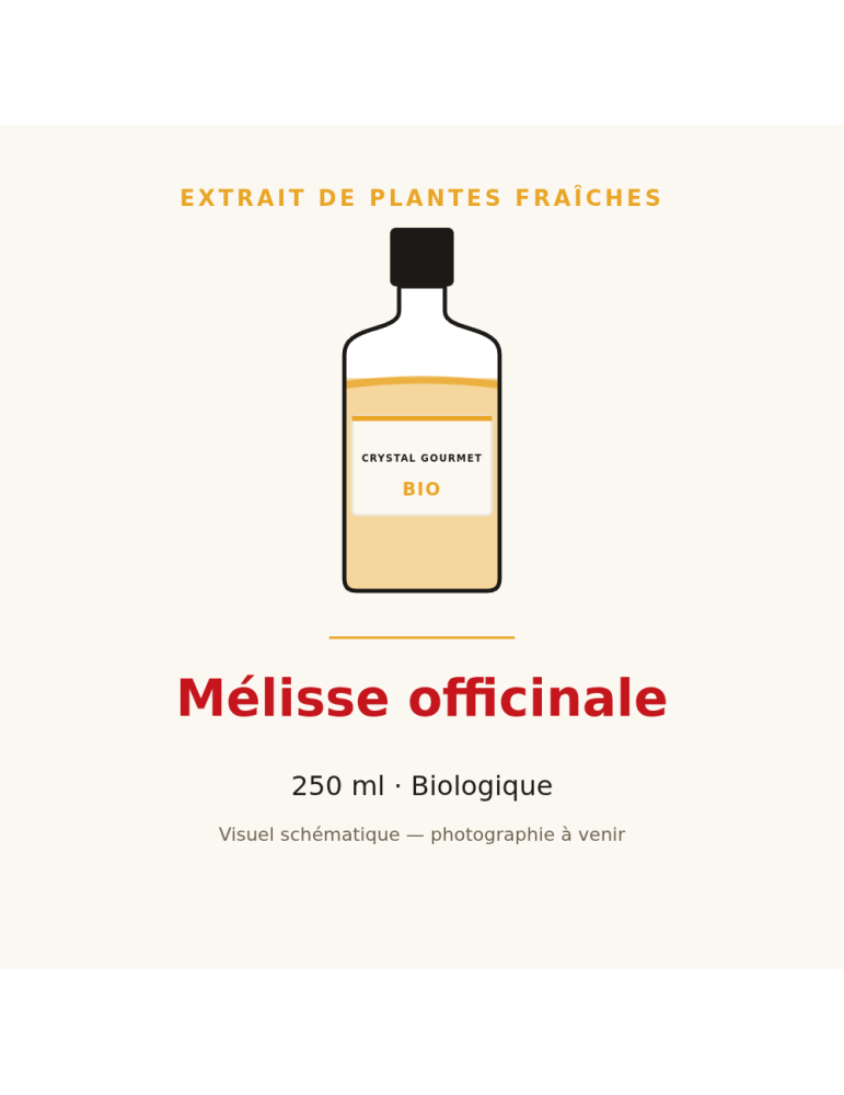 Extrait de plantes fraîches de Mélisse officinale bio - 250 ml