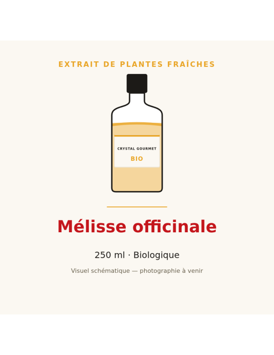Extrait de plantes fraîches de Mélisse officinale bio - 250 ml