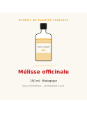 Extrait de plantes fraîches de Mélisse officinale bio - 250 ml