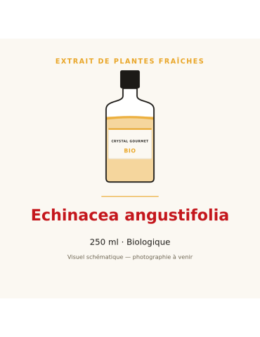 Extrait de plantes fraîches d'Echinacea angustifolia bio - 250 ml