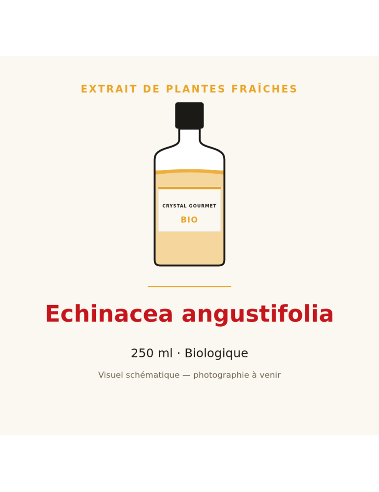 Extrait de plantes fraîches d'Echinacea angustifolia bio - 250 ml
