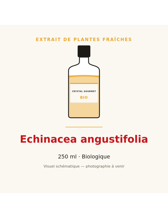 Extrait de plantes fraîches d'Echinacea angustifolia bio - 250 ml
