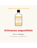 Extrait de plantes fraîches d'Echinacea angustifolia bio - 250 ml