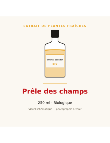Extrait de plantes fraîches de Prêle des champs bio - 250 ml