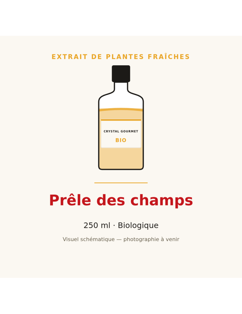 Extrait de plantes fraîches de Prêle des champs bio - 250 ml