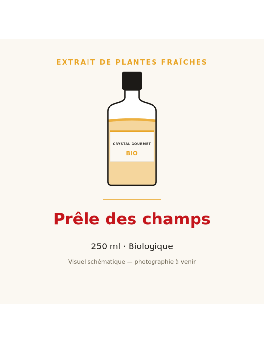 Extrait de plantes fraîches de Prêle des champs bio - 250 ml