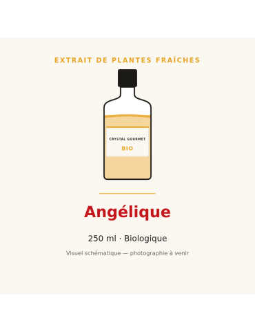 Extrait de plantes fraîches d'Angélique bio - 250 ml
