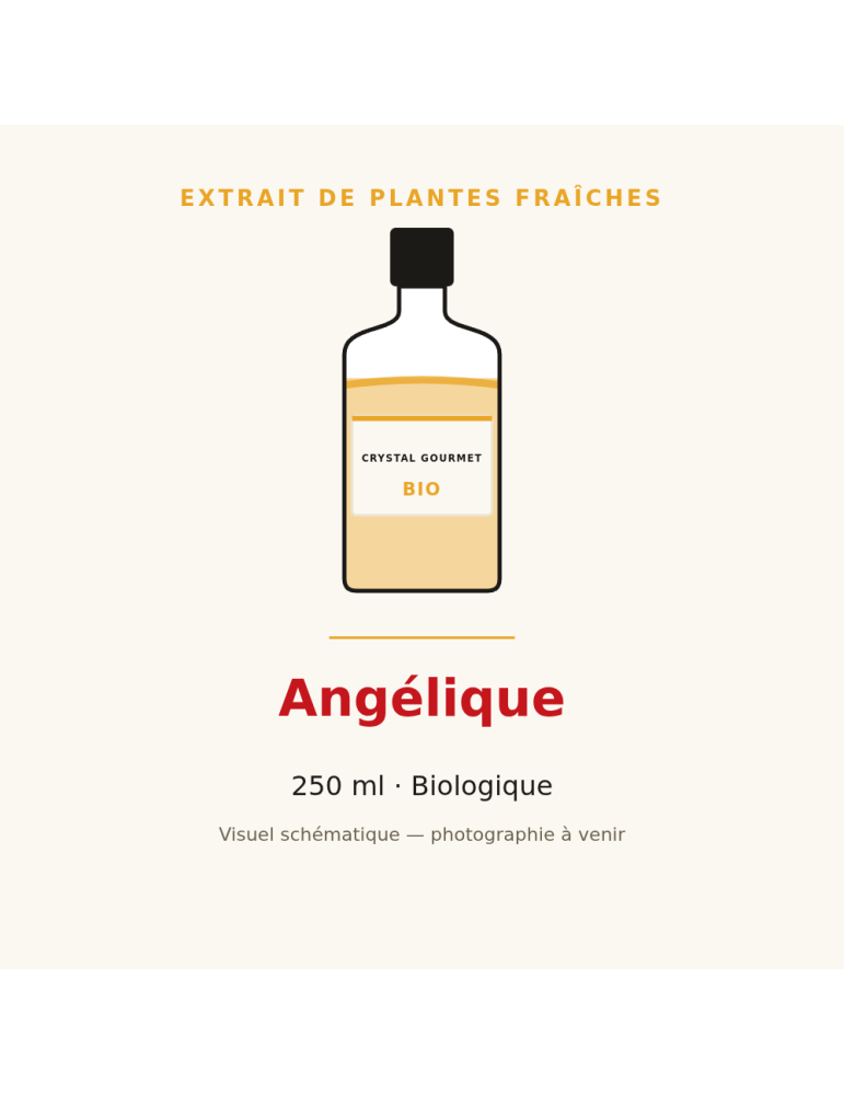 Extrait de plantes fraîches d'Angélique bio - 250 ml