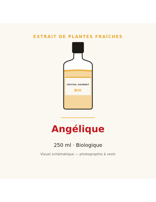 Extrait de plantes fraîches d'Angélique bio - 250 ml