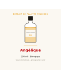 Extrait de plantes fraîches d'Angélique bio - 250 ml