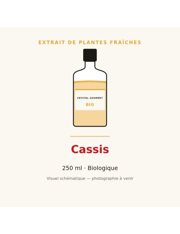 Extrait de plantes fraîches de Cassis bio - 250 ml