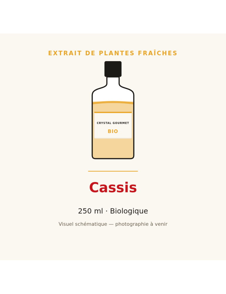 Extrait de plantes fraîches de Cassis bio - 250 ml
