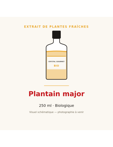 Extrait de plantes fraîches de Plantain major bio - 250 ml