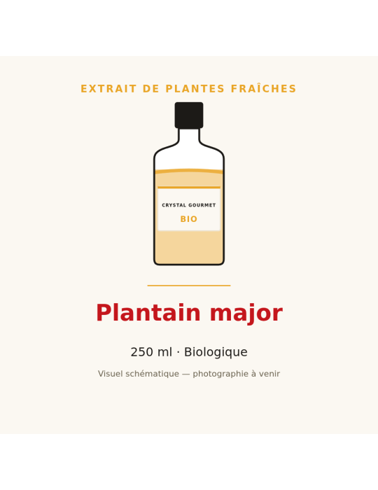 Extrait de plantes fraîches de Plantain major bio - 250 ml