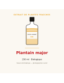 Extrait de plantes fraîches de Plantain major bio - 250 ml