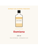 Extrait de plantes fraîches de Damiana - 250 ml