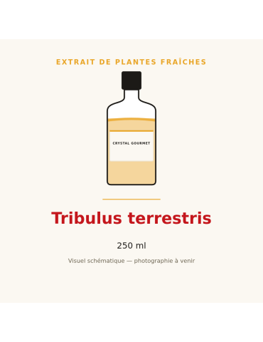 Extrait de plantes fraîches de Tribulus terrestris - 250 ml