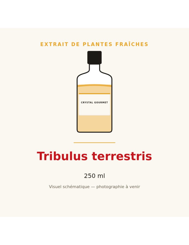 Extrait de plantes fraîches de Tribulus terrestris - 250 ml
