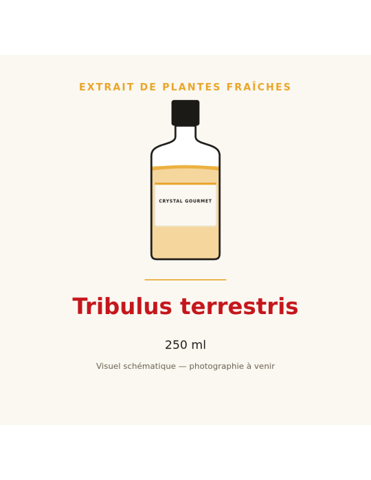 Extrait de plantes fraîches de Tribulus terrestris - 250 ml