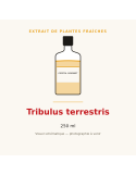 Extrait de plantes fraîches de Tribulus terrestris - 250 ml