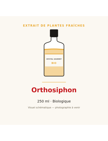 Extrait de plantes fraîches d'Orthosiphon bio - 250 ml
