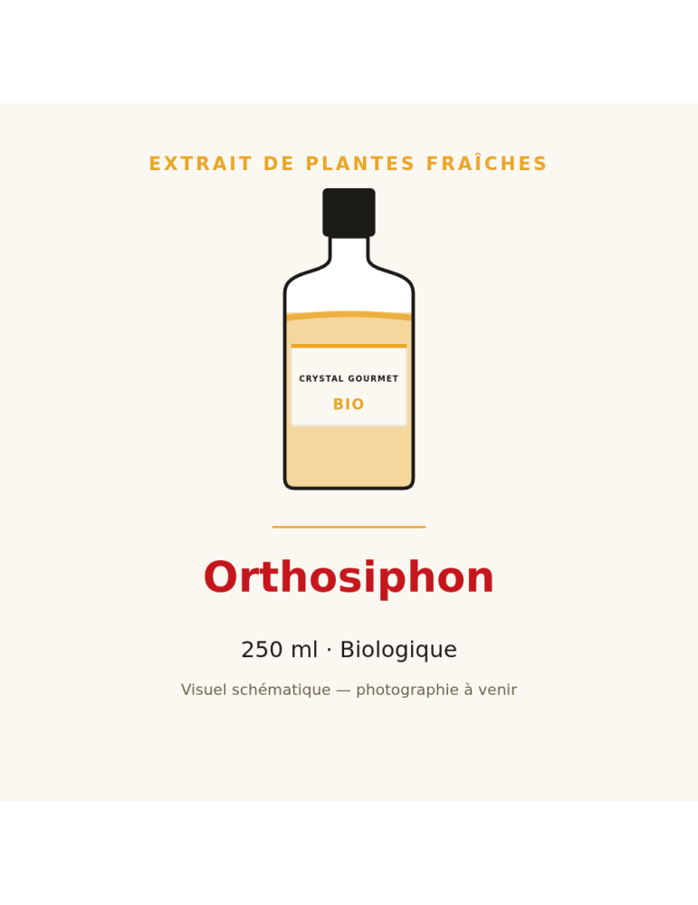 Extrait de plantes fraîches d'Orthosiphon bio - 250 ml