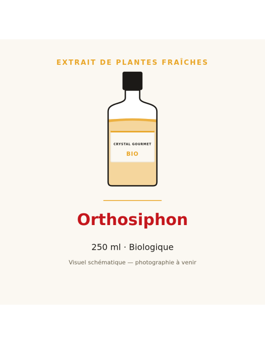 Extrait de plantes fraîches d'Orthosiphon bio - 250 ml