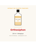 Extrait de plantes fraîches d'Orthosiphon bio - 250 ml
