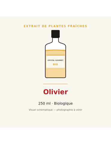Extrait de plantes fraîches d'Olivier bio - 250 ml