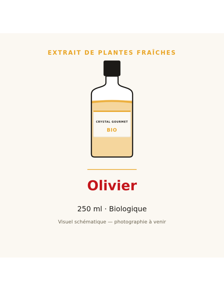 Extrait de plantes fraîches d'Olivier bio - 250 ml