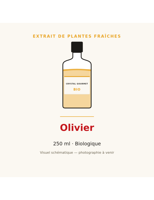 Extrait de plantes fraîches d'Olivier bio - 250 ml