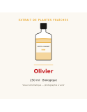 Extrait de plantes fraîches d'Olivier bio - 250 ml
