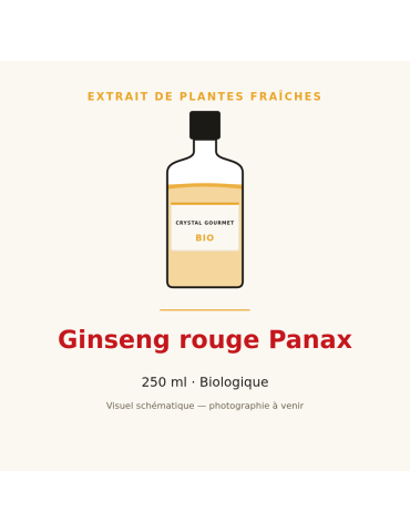 Extrait de plantes fraîches de Ginseng rouge Panax bio - 250 ml
