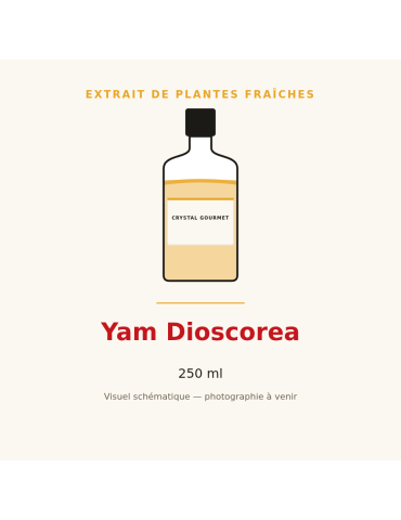 Extrait de plantes fraîches de Yam Dioscorea - 250 ml