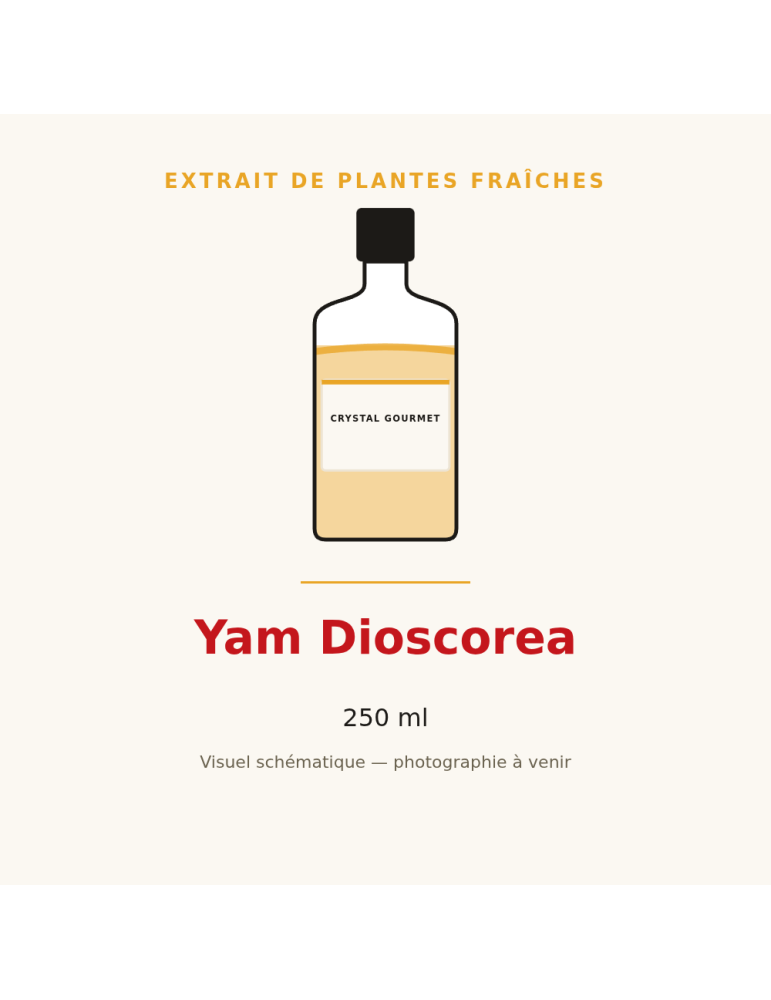 Extrait de plantes fraîches de Yam Dioscorea - 250 ml