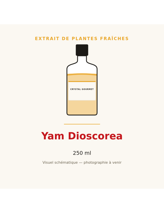 Extrait de plantes fraîches de Yam Dioscorea - 250 ml
