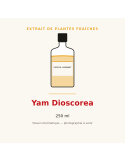 Extrait de plantes fraîches de Yam Dioscorea - 250 ml