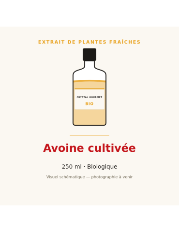 Extrait de plantes fraîches d'Avoine cultivée bio - 250 ml