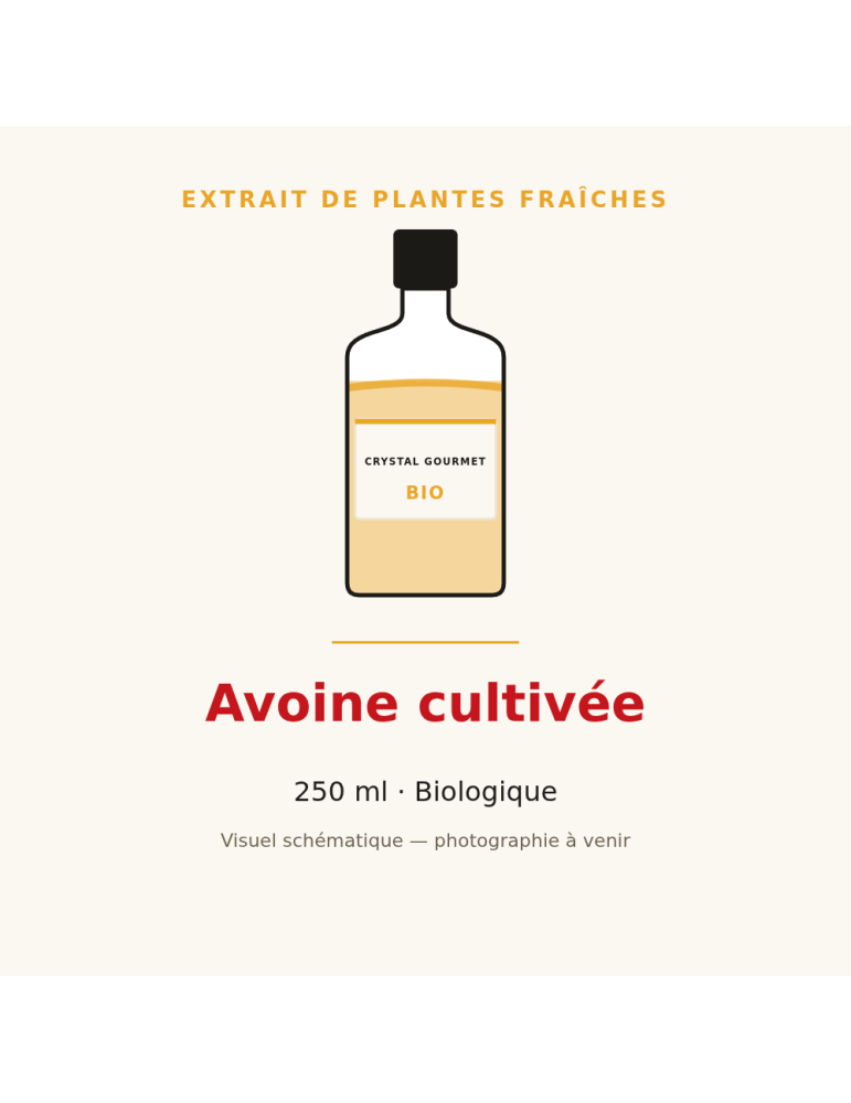 Extrait de plantes fraîches d'Avoine cultivée bio - 250 ml