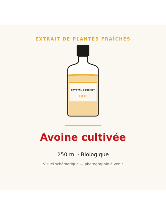 Extrait de plantes fraîches d'Avoine cultivée bio - 250 ml